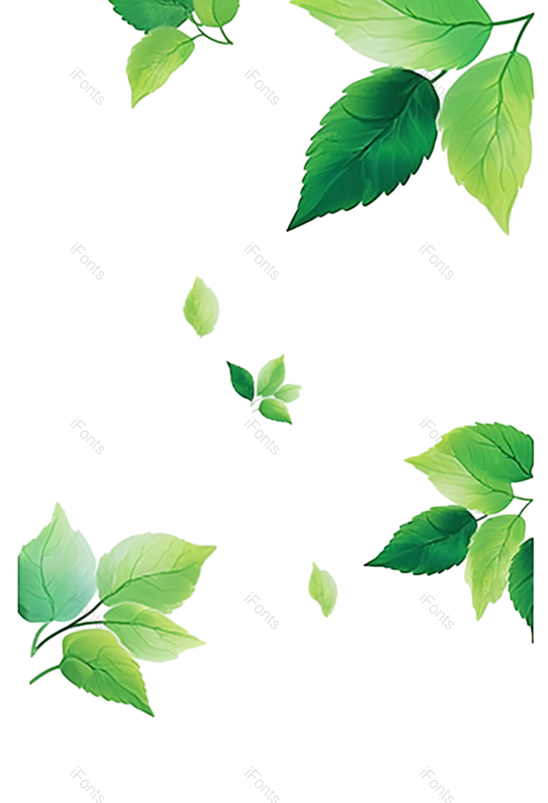 叶子图片,装饰元素,绿叶PNG,简约免抠素材